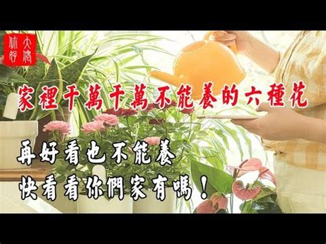 蘭花放房間